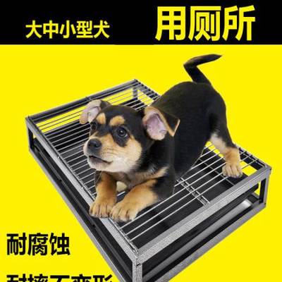 智能设计，呵护爱宠 探讨无需尿片的大号狗厕所与舒适狗窝的完美组合