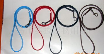 狗狗的优质生活，从『狗狗窝』开始——资深宠物用品厂的专业宝典